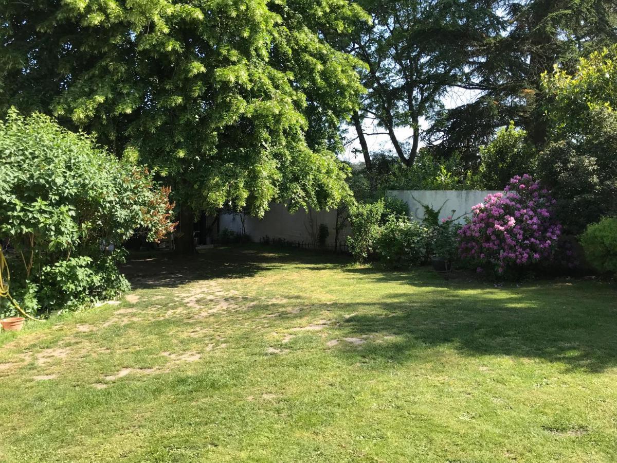 La Taniere Des Ours Bed and Breakfast Chaumont-sur-Tharonne Eksteriør billede